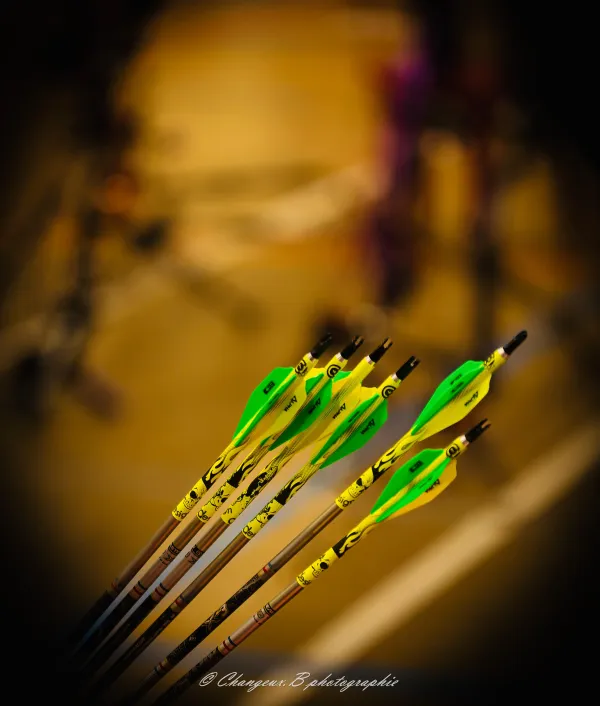 Photo du club As Les Plumes d'Or